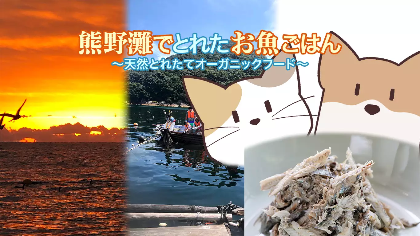 熊野灘でとれたお魚ごはん オンラインストア